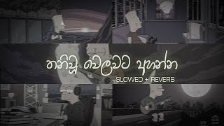 තනියම ඉන්න වෙලාවට අහන්න sinhala slowed and reverb collection  DEZTER BEATS [upl. by Granthem521]