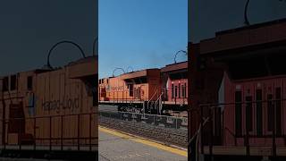 CP 8781 Hapag Lloyd trailing on CPKC 230 [upl. by Cristiano]