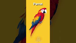 Parrot English learning Birds names shorts [upl. by Hayley]