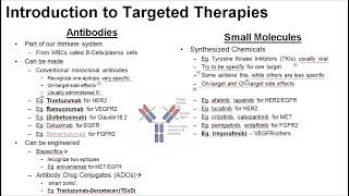 17 Principles of Targeted Therapy [upl. by Reine]