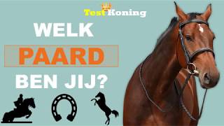 WELK PAARD PAST BIJ JOU  Doe deze test [upl. by Gruver748]