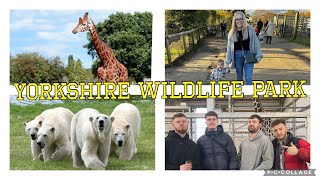 Yorkshire Wildlife Park Vlog 2023 [upl. by Ilegna]