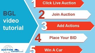 BidGoLivecom – powered by AuctionExportcom  Buying a Car from IAA Auctions [upl. by Yenaj790]