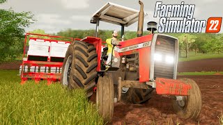 MASSEY FERGUSON 290 NO PLANTIO DE SOJA RECANTO DA ALVORADA  Farming Simulator 22 [upl. by Jabon795]