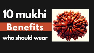 10 mukhi rudraksha benefits  10 मुखी रुद्राक्ष के फ़ायदे  कब और कैसे पहन सकते हैं [upl. by Riddle]