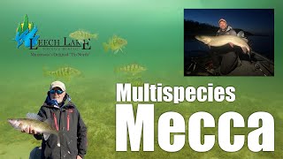 Leech Lake Multispecies Mecca [upl. by Malkin]