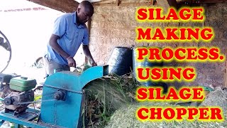 Siilage Making Process Using Silage Chopper [upl. by Ayenat698]