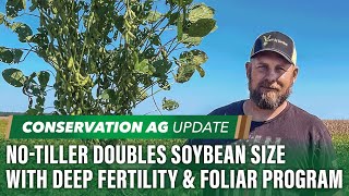 NoTiller Doubles Soybean Size with Deep Fertility amp Foliar Program [upl. by Deutsch]