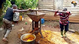 Palm oil production process with locally made palm oil mill Palm oil for Africa cuisine [upl. by Jenesia]