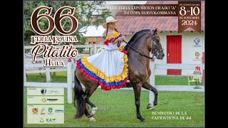 FERIA EXPOSICION EQUINA GRADO quotAquot COPA SURCOLOMBIANA PITALITO  TROCHA Y GALOPEPASO FINO COLOMBIANO [upl. by Yanad]