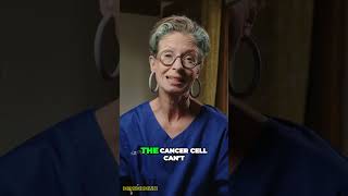 Revolutionary Cancer Breakthrough  Olaparib  Life Saving Drug for BRCA TNBC [upl. by Otho]