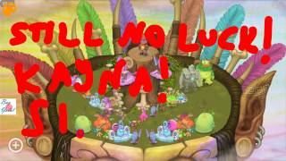 OMG KAYNA HAS BEEN BROKEN SINGS FOREVER AND EVER WITHOUT SINGING Glitch  My Singing Monsters [upl. by Jonah]