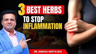 Reduce Inflammation Quickly  3 Secret Herbs [upl. by Alesram]