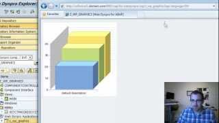 ABAP WebDynpro Business Graphics 3D SAP Tutorial Part 10 [upl. by Eastman]