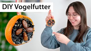 Vogelfutter selber machen  DIY Idee für Weihnachten  Vögel füttern [upl. by Suryc]