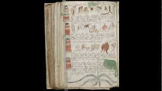 Voynich manuscript All pages scanned undeciphered language [upl. by Annaitat]