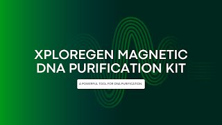 DNA Purification using Magnetic Beads  Xploregen Discoveries Pvt Ltd [upl. by Hahnke]