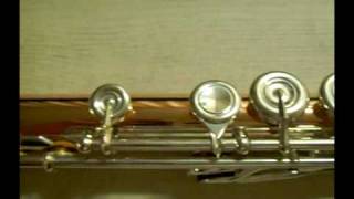 버카트14K Combi Flute 개봉기 [upl. by Idas]