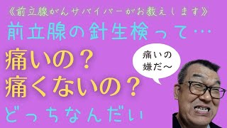 【字幕入り】前立腺がんの針生検は痛いの？ [upl. by Fidelio]