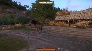 Kingdom Come Deliverance Get Double Stab Perk [upl. by Barrie]