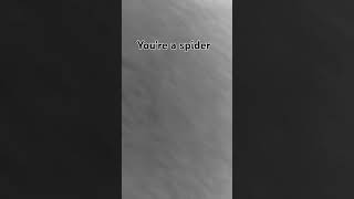 Spiders go on your bed [upl. by Marisa]