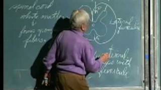 Integrative Biology 131  Lecture 27 Sensory and Motor [upl. by Sile]