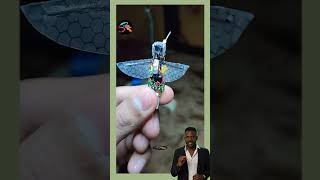 Three Electronic insects and humming bird shortvideo technology [upl. by Abercromby]