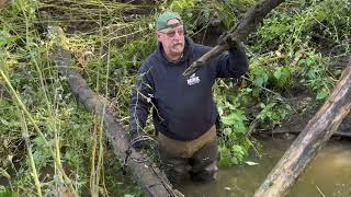 Trapping mink with conibares on crossover logs [upl. by Certie]