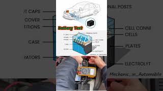 Battery Test There are four key parts in a battery  the cathode [upl. by Orvan]