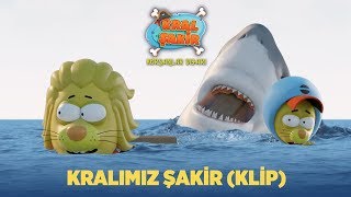 Kral Şakir “Korsanlar Diyarı”  Kralımız Şakir Klip [upl. by Cathi605]