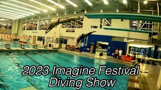 Upstate NY Diving Show at the 2023 Imagine Festival [upl. by Drona676]