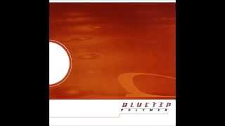 Bluetip  Polymer Dischord Records 121 2000 Full Album [upl. by Hayward]