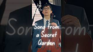 🎻 The Most Beautiful Melody Ever Played on Cello cello songfromasecretgarden music [upl. by Orabla896]