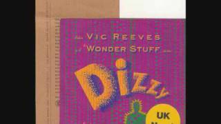 Vic Reeves with the Wonder Stuff Dizzy [upl. by Fasa]