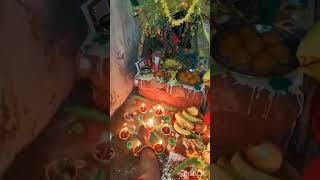 Tulsi vivah navratrispecial tulsipuja tulsibhajan song pradeepmishrajikeupay [upl. by Christan877]