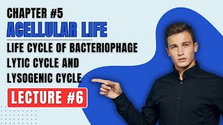 life cycle of bacteriophage lacture 6 lytic cycle and lysogenic cycle class 11th very easy topic [upl. by Dianne238]