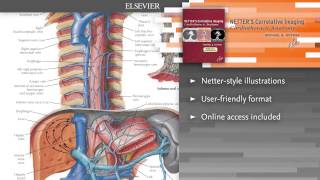 Netter’s Correlative Imaging Cardiothoracic Anatomy [upl. by Alten]