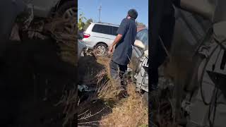 This is a great place to hide a DEAD BODY 😬😬😬junkyardfinds cool wow youtube vlog [upl. by Aneerak984]