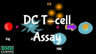 DC T cell proliferation Assay  Dendritic Cell  T cell assay [upl. by Nosnehpets]