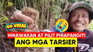 VIRAL ISANG VLOGGER HINAWAKAN AT PILIT PINAPANGITI ANG MGA TARSIER [upl. by Anigroeg]