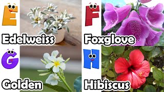 Flowers Alphabet Song  Flowers ABC Song  A to Z Flowers Names  Phonics for Kids [upl. by Kinnard]