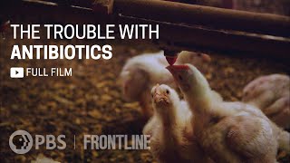 The Trouble with Antibiotics full documentary  FRONTLINE [upl. by Woolcott]