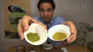 Everything you need to know about Matcha [upl. by Oirelav]