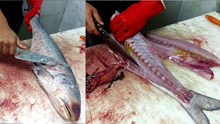 How To Fillet A Indian Salmon 🐡 Amazing Skills Fillet 🐟 Fish Cutting 🐠 [upl. by Annaicul660]